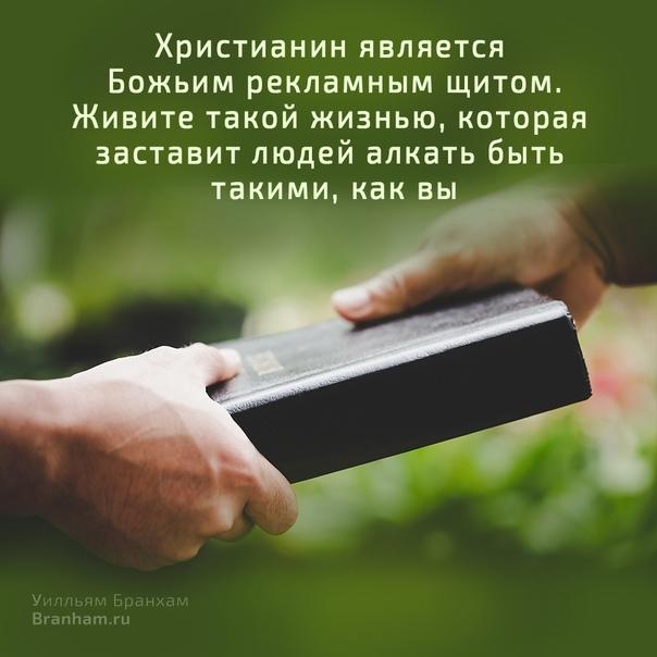 Картинка цитаты