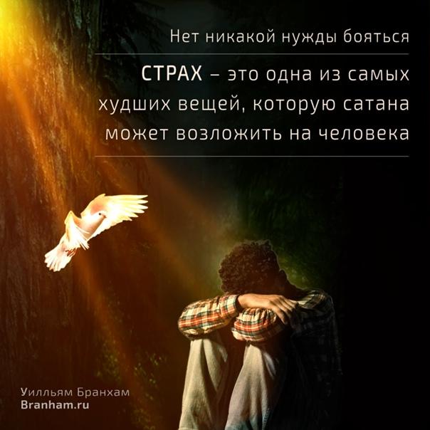 Картинка цитаты